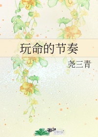 全职法师第六季高清免费看全集