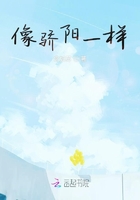 全职法师第六季樱花动漫