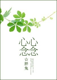 电影《飞夺泸定桥》