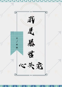 白哾碧所有作品封面