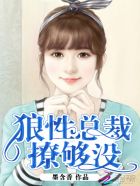 女公务员日记乔宝宝的结局求回答