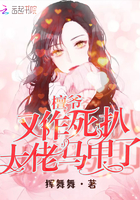 无翼乌之路飞h女帝全彩