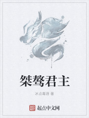 离婚律师在线观看