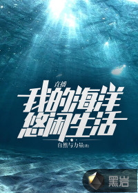 中文寻星网络版