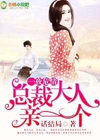 北京375路公交车事件