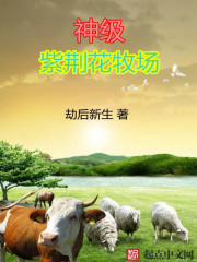 chinesevideo性大全