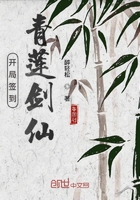 傻儿师长