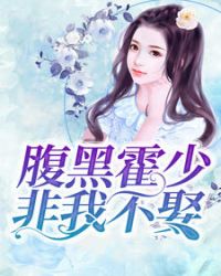 我的老婆是冰山女总裁沈浪苏若雪