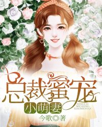 二女一男女3p完整版在线观看