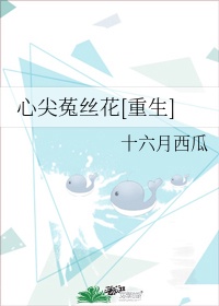 学信网登录