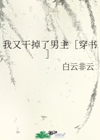 身份号019