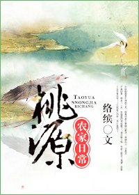 杨家将后传