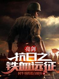 伪装者免费看全集完整版