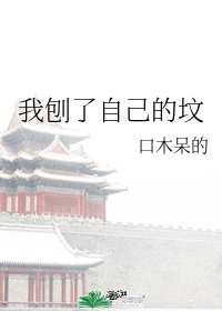 驾校情缘全文免费读