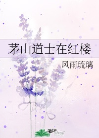 照见星星的她txt