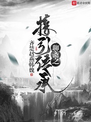 小磁力pro