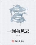 杨家将后传