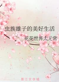 小芳小说