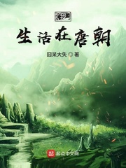 杨家将后传