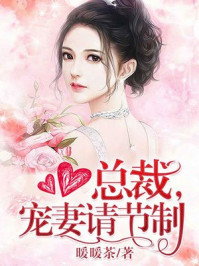 重生暖婚老公大人宠翻天