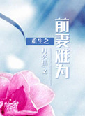 傻儿师长