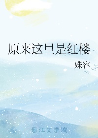 包玉婷护士全文阅读