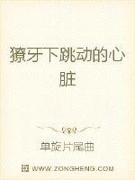 张雅丹和黄总15一16章