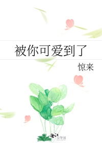 药师兜