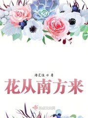 花游记在线观看韩剧网