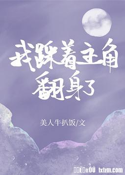 杨家将后传