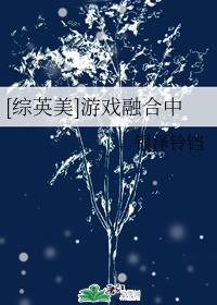 爱浪小说下载