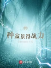 傻儿师长