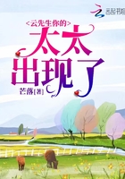 年轻的小婊2中文版