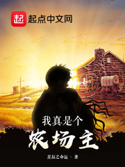 四大名著h版