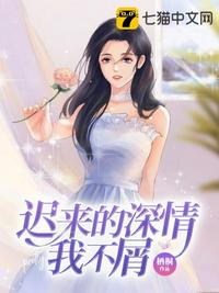 傻儿师长