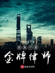 林辛言宗景灏