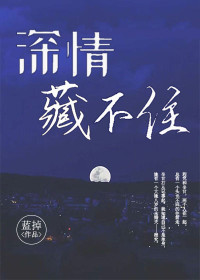 月下夜想曲攻略