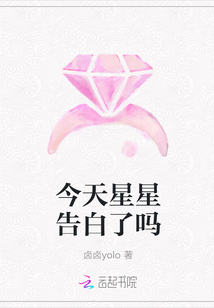 苏菲赵东来小说苏菲