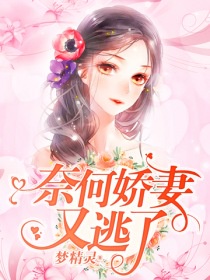 美女a级