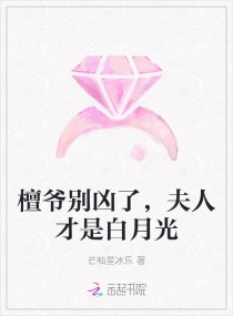 赵宇和离婚孙曼姨小说