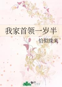 艳妻系列