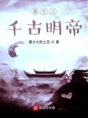 全职法师免费下载