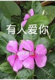 陈浩章梅叶心仪全文免费