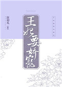 傻儿师长