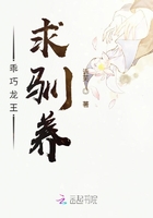 傻儿师长