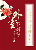 杨家将后传