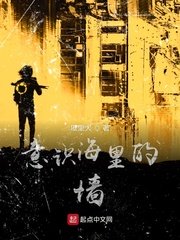 含羞草电视剧含羞草主题曲