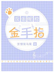 从大学教师开始