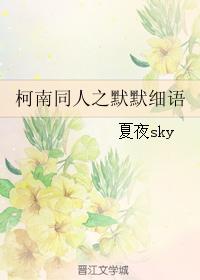 沈先生的花式调数