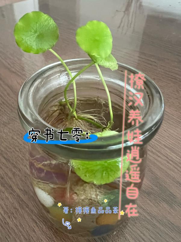 爱情公寓h版大后宫